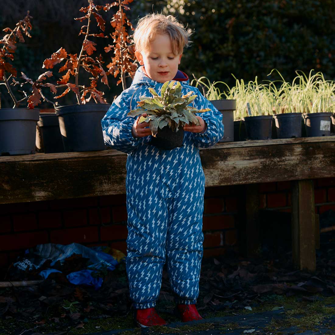 A wee child wearing an EcoWarm Waterproof Snowsuit Blue is holding a potted plant in front of a gardening table. It's a sunny day.