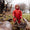 Our Collections. A boy wearing a red waterproof suit stands near a log in a muddy, woodland environment. He smiles, holding a stick.