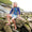 UV Protective Rash Vest Multi Check
