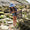 A child wearing a UV Protective Sun Hat Multi Check stands on rocks at the beach, holding a net and looking downwards.