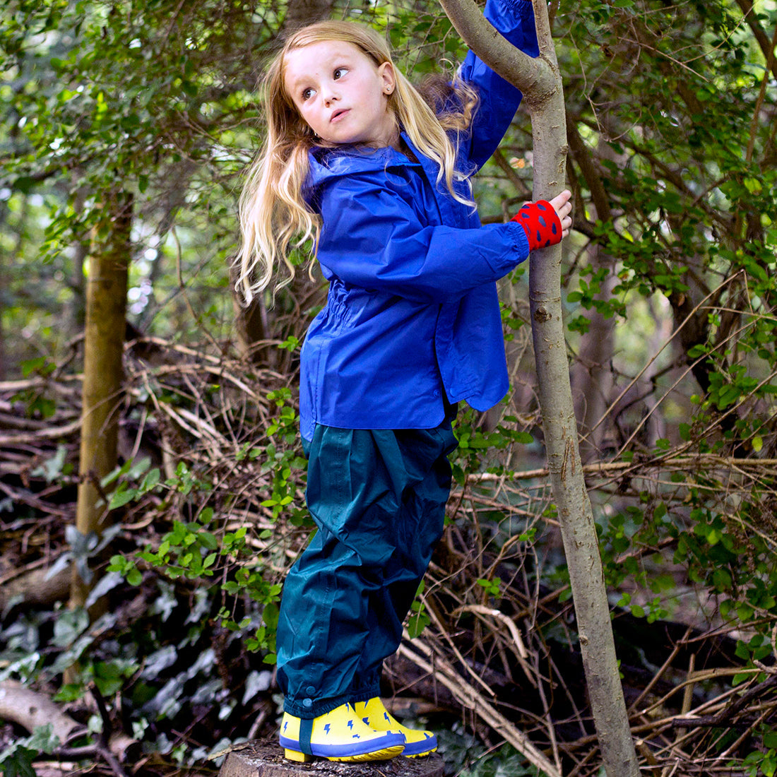 A child in a blue jacket and Originals Waterproof Trousers Green, standing on a tree stump, grasping a tree trunk in a wooded area.
