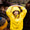 A girl smiles in our collection yellow raincoat, with her hands on her hooded head, stood in front of some trees.