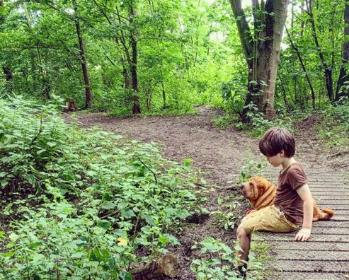 Top Dog Walking Tips With Toby and Roo