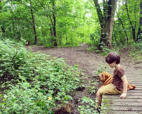 boy sitting on a woodland boardwalk next to a dog