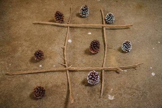 tic tac tow game with sticks and pinecones