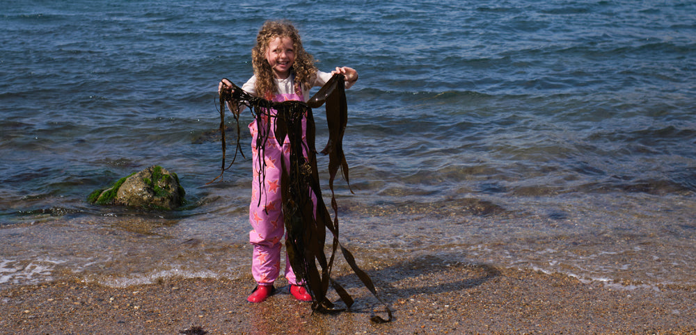 Child in waterproof suit and red boots holding seaweed on a pebbly beach by the sea