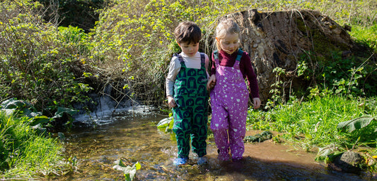 4 Must-Read Children’s Nature Books