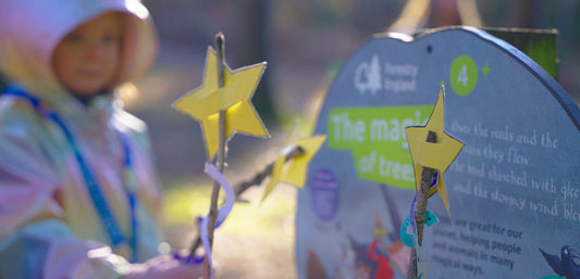 Child in hooded waterproof jacket holding star wands outdoors near forest activity sign