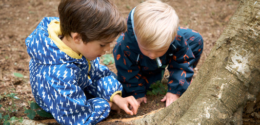 boys looking at insects at the foot of a tree, wearing vibrant muddy puddles puddlesuits