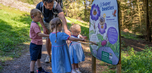 Children and adult reading outdoor educational sign about beetles on forest trail