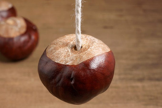 conker at the end of a string
