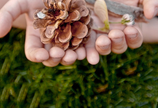 child with hands open, holding a pinecone, twig, leaf and a flower bud