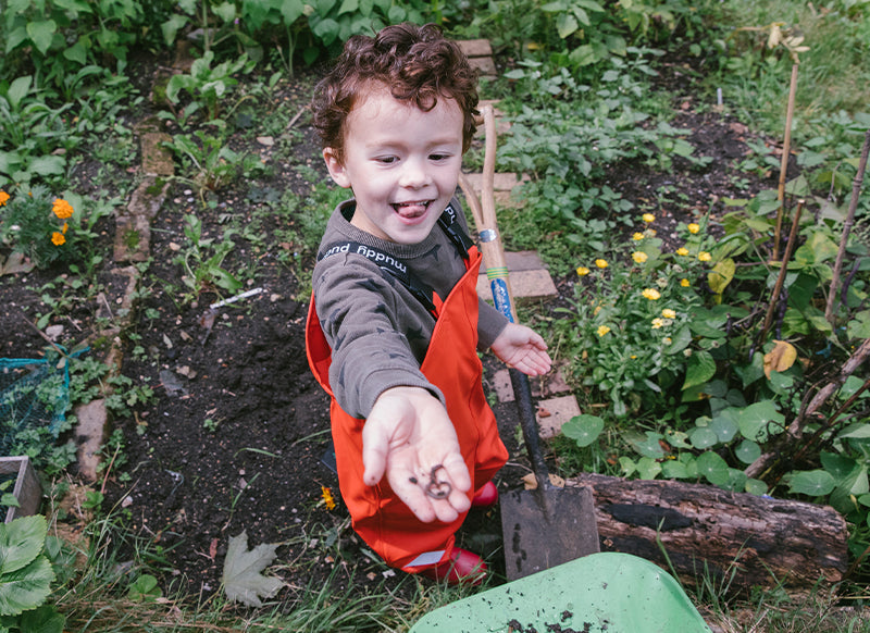 boy stood in vegetable garden showing the camera a handful of seeds, wearing muddy puddles red waterproof dungarees