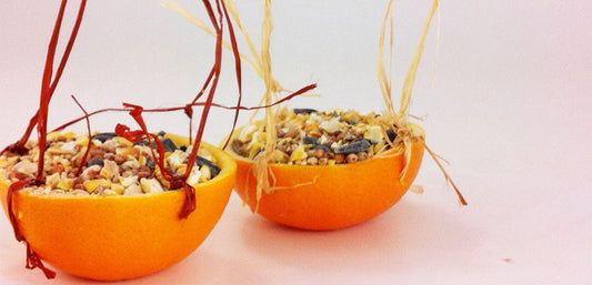 diy bird feeders made from oranges, birdseed and twine