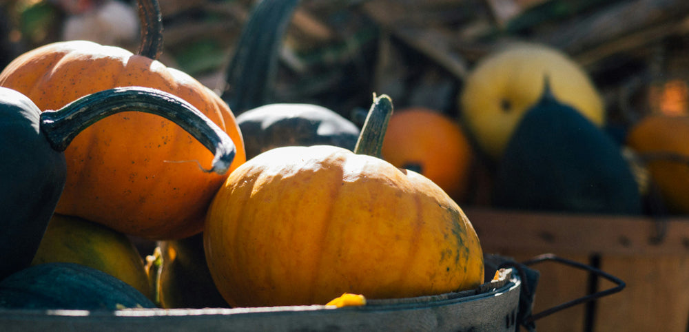 home grown pumpkins in metal container
