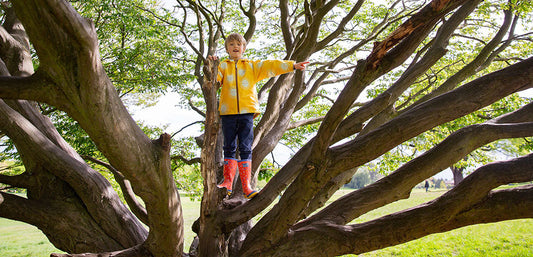 Child in yellow waterproof jacket and red rain boots climbing tree outdoors