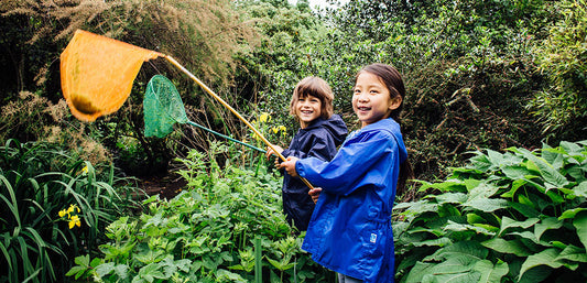 Our Top Tips for Pond Dipping