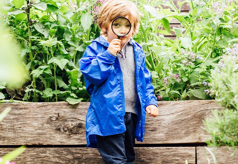 boy standing in garden looking through magnifying glass, wearing vibrant blue muddy puddles waterproof jacket