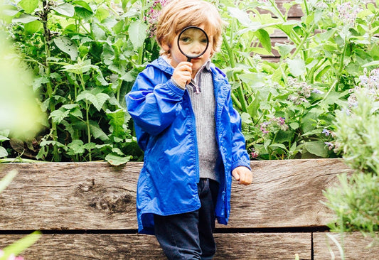 boy standing in garden looking through magnifying glass, wearing vibrant blue muddy puddles waterproof jacket