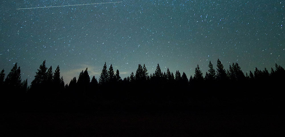 forest skyline at night with stars and clouds