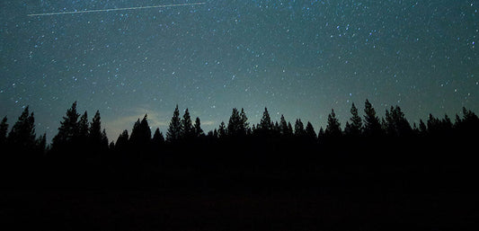 forest skyline at night with stars and clouds