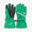 Arctic Ski Gloves Green