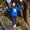 Borg Fleece Jacket Blue