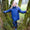 Blizzard Kids Ski Jacket Blue Cave