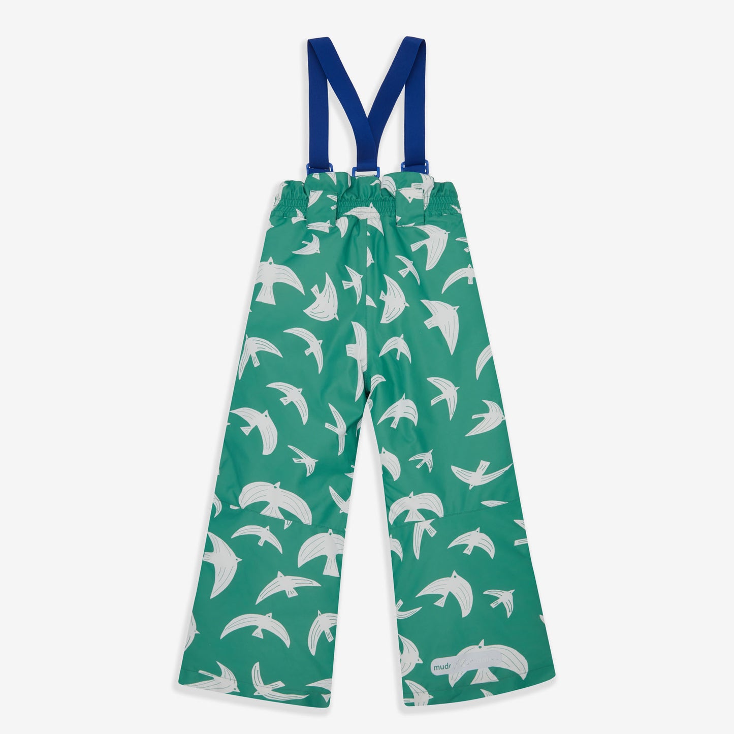 Blizzard Ski Salopettes Green Bird