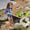 A young child in a UV Protective Long Sleeve Swimsuit Multi Check is on the beach holding a net.